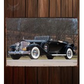 Металлическая табличка Packard Twelve Coupe Roadster (1005)